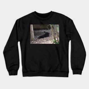 Black Rabbit Crewneck Sweatshirt